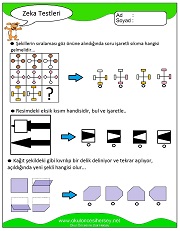 Zeka Gelişim Testleri